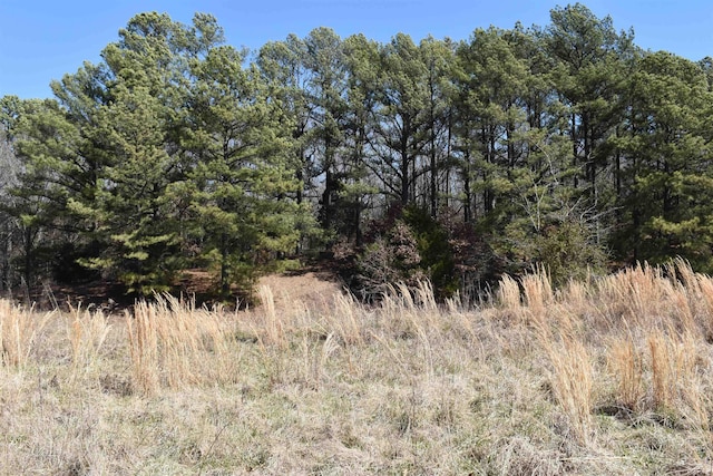 view of landscape featuring a forest view