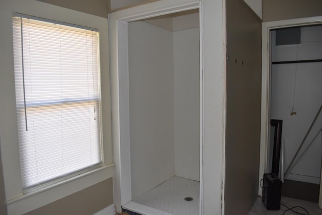 bathroom with a shower stall and a wealth of natural light