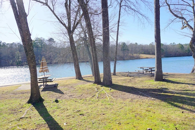 water view featuring a view of trees