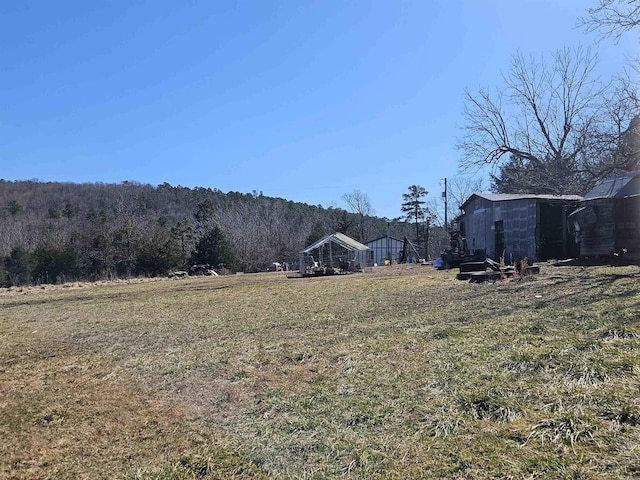 view of yard featuring a view of trees