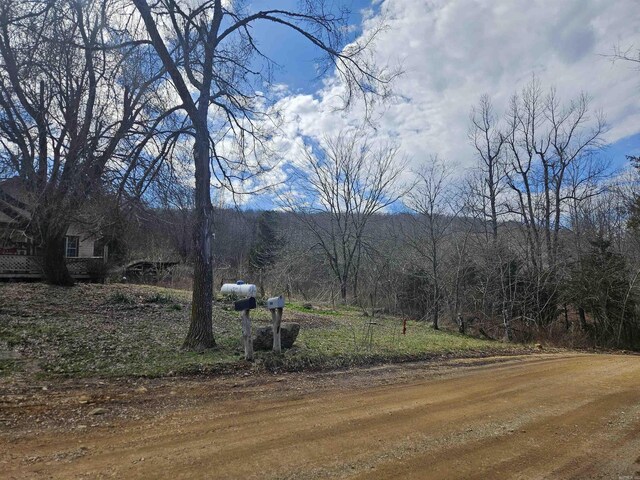 view of mountain feature with a view of trees