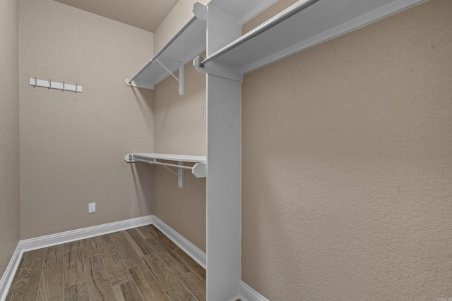 spacious closet featuring wood finished floors