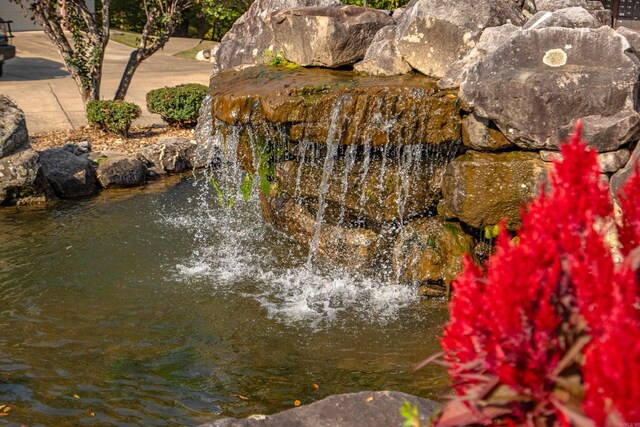 details with a small pond