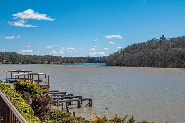 dock area with a view of trees and a water view