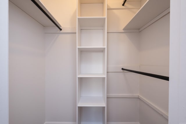 view of walk in closet