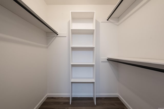 walk in closet featuring dark wood-type flooring