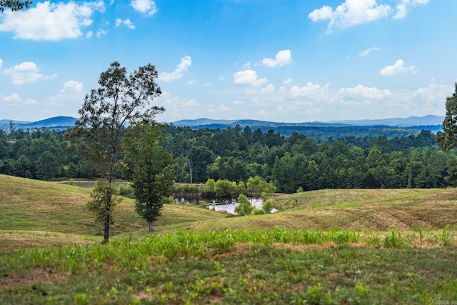 property view of mountains featuring a view of trees