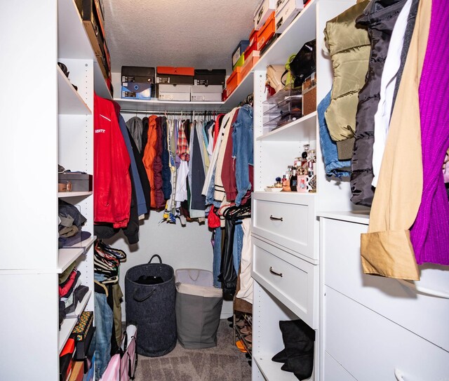 spacious closet with carpet