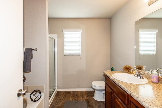 full bathroom featuring vanity, wood finished floors, a stall shower, and a wealth of natural light