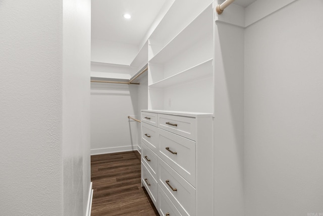 walk in closet featuring dark wood finished floors