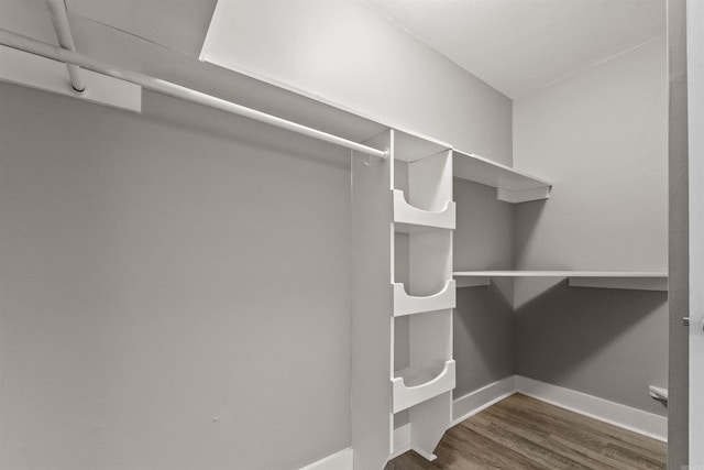 spacious closet featuring wood finished floors