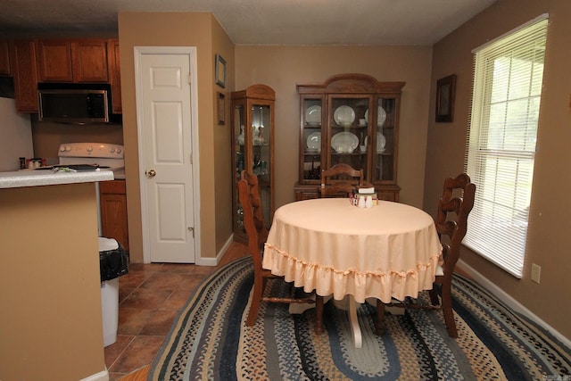 dining space with baseboards and dark tile patterned floors