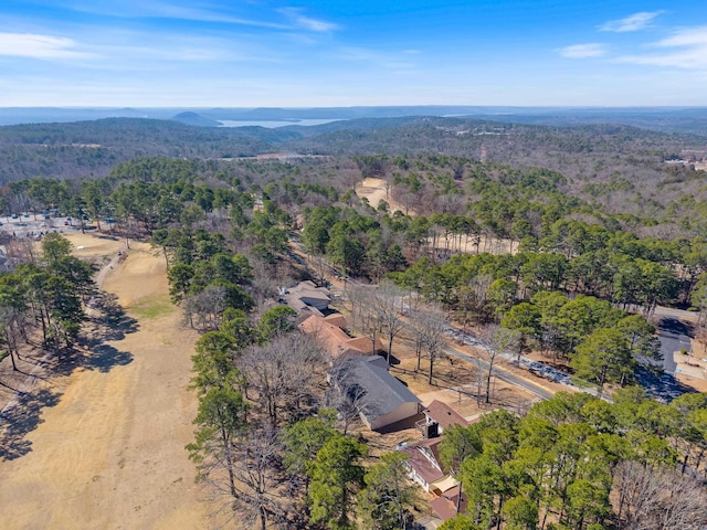 aerial view with a forest view