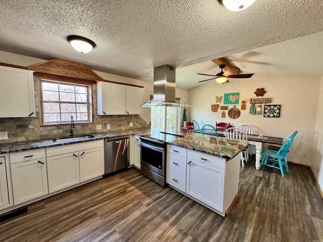 kitchen with a peninsula, island exhaust hood, a sink, stainless steel appliances, and dark wood-type flooring