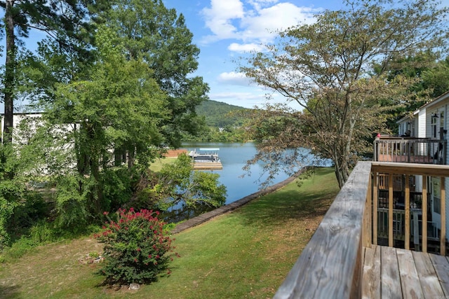 water view featuring a boat dock