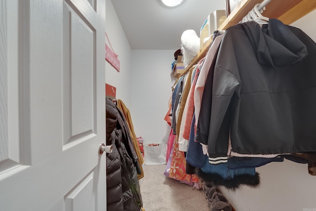 walk in closet featuring carpet