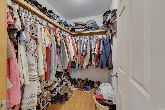 spacious closet featuring wood finished floors