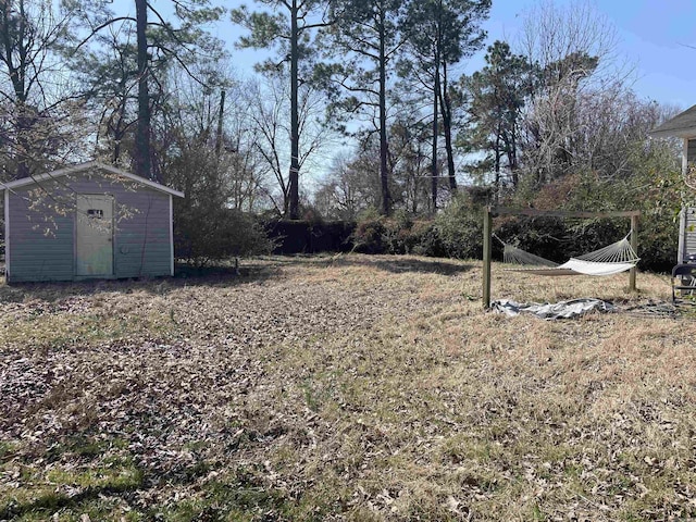 view of yard with a storage shed and an outdoor structure