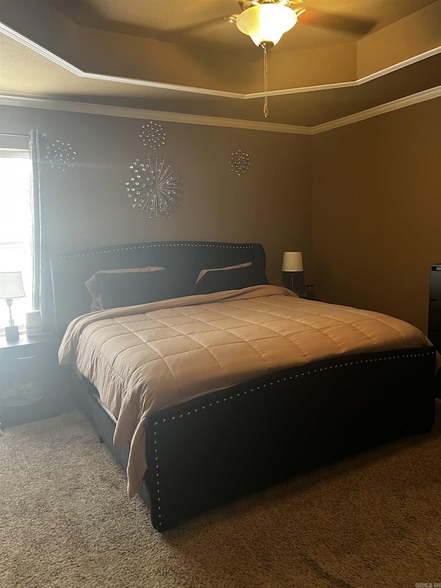 bedroom featuring a raised ceiling, carpet floors, ceiling fan, and crown molding