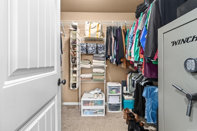 view of spacious closet