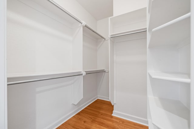 spacious closet featuring light wood-type flooring