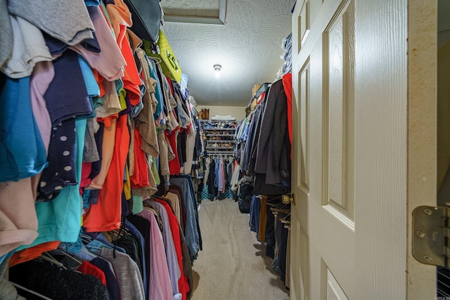 spacious closet with attic access and carpet floors