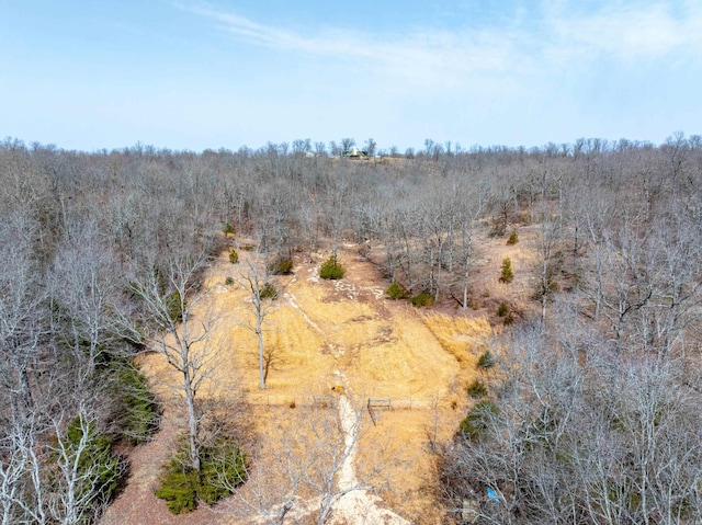 view of local wilderness featuring a view of trees