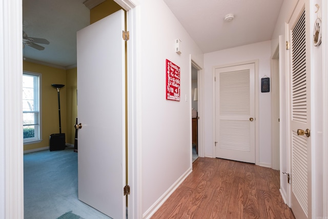 hallway with crown molding, baseboards, and wood finished floors