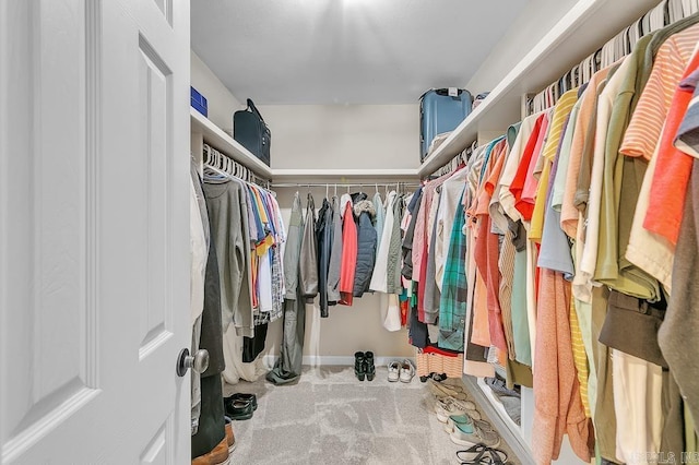 walk in closet with carpet