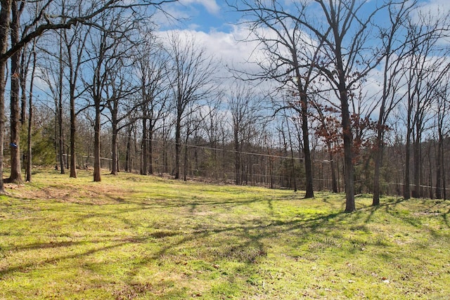 view of yard featuring a view of trees