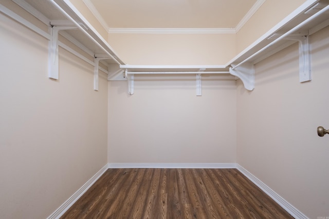 walk in closet with wood finished floors