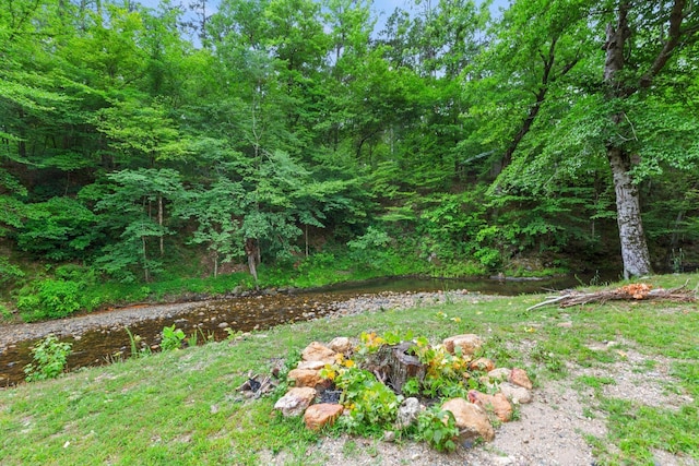 view of yard with a view of trees