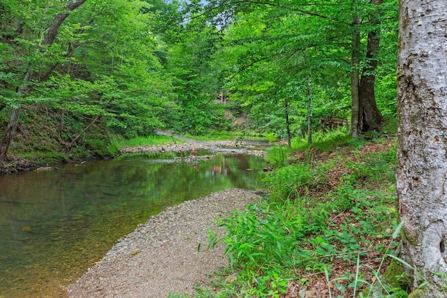 water view with a forest view