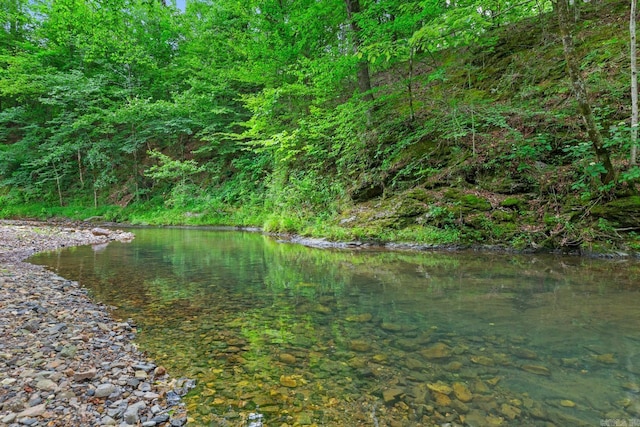 water view with a forest view