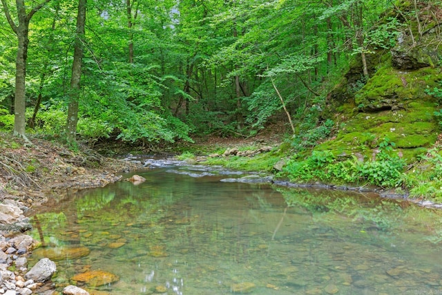 view of local wilderness featuring a forest view