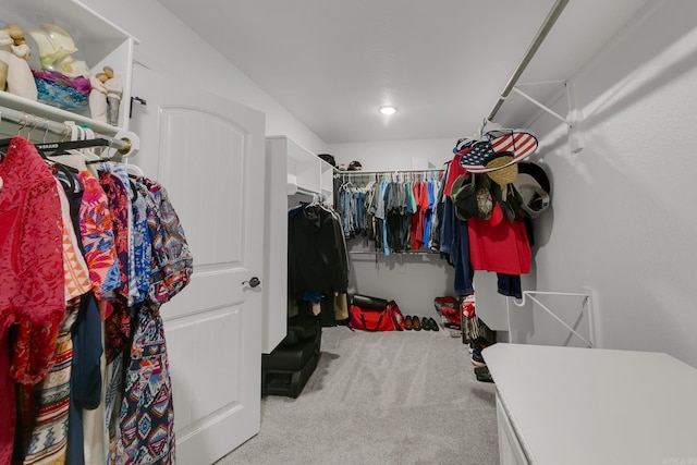 walk in closet featuring carpet floors