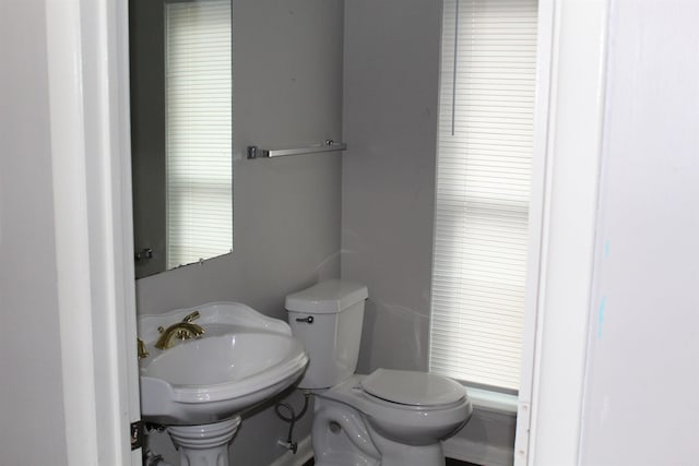 bathroom featuring a sink and toilet