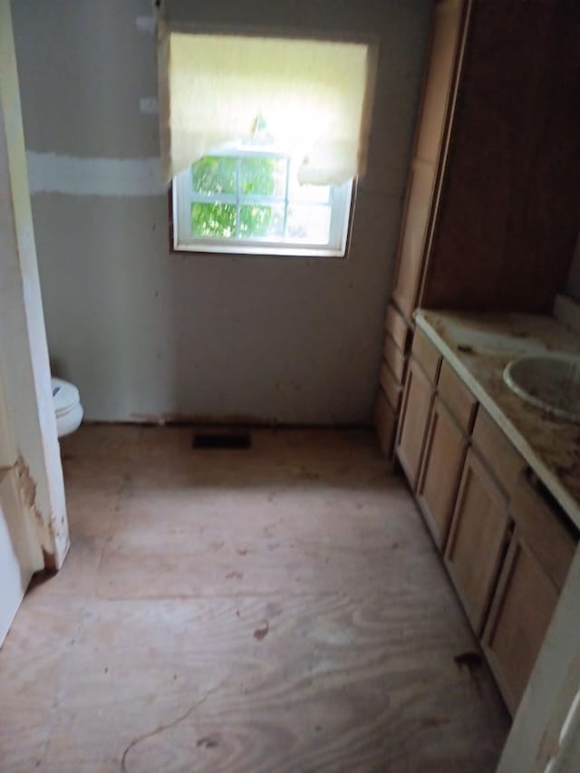 bathroom with toilet and vanity