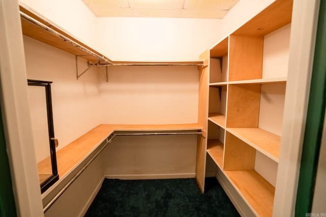 spacious closet featuring dark colored carpet