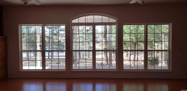 entryway with plenty of natural light and ceiling fan