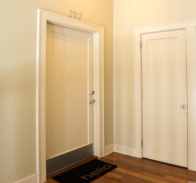 doorway to outside featuring dark wood-type flooring