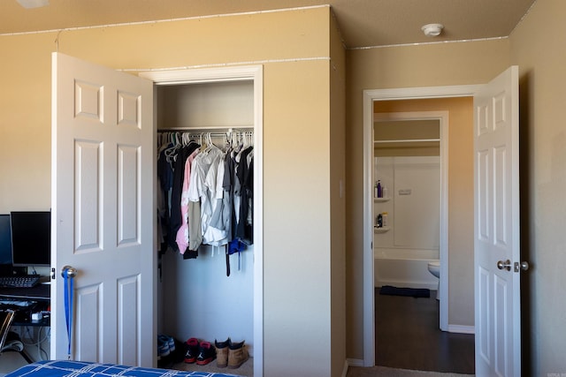 view of closet