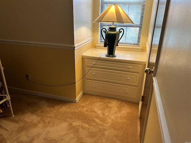 details with carpet and baseboards