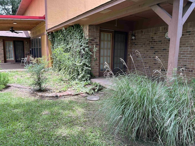 view of yard featuring a patio and a ceiling fan