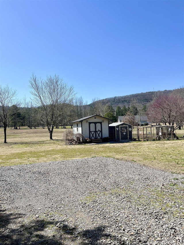 view of yard featuring an outbuilding and a storage unit