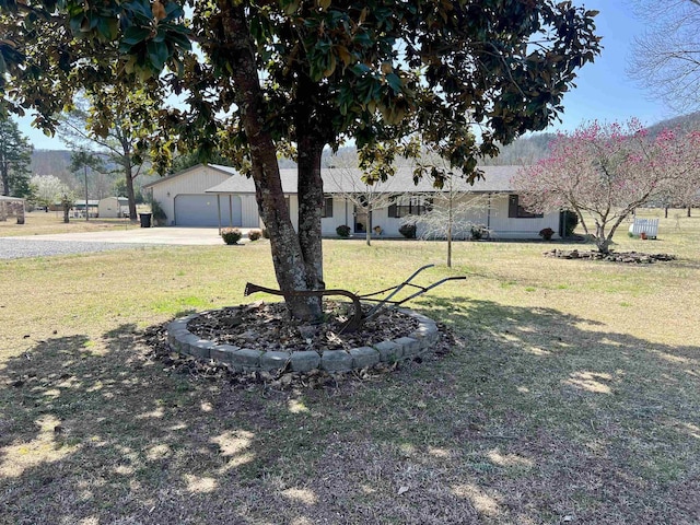 view of front of house with a front lawn and a detached garage