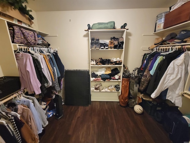 spacious closet featuring wood finished floors