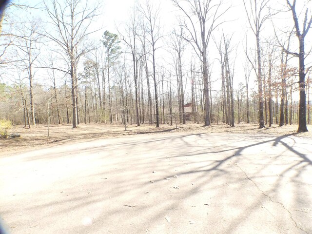 Listing photo 2 for TBD Brandon Dr, Mena AR 71953