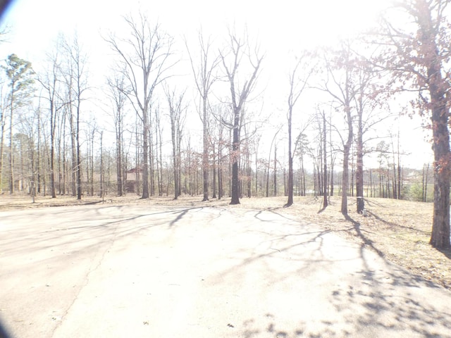 Listing photo 3 for TBD Brandon Dr, Mena AR 71953