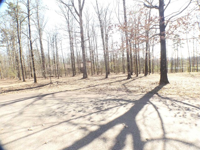 TBD Brandon Dr, Mena, AR 71953